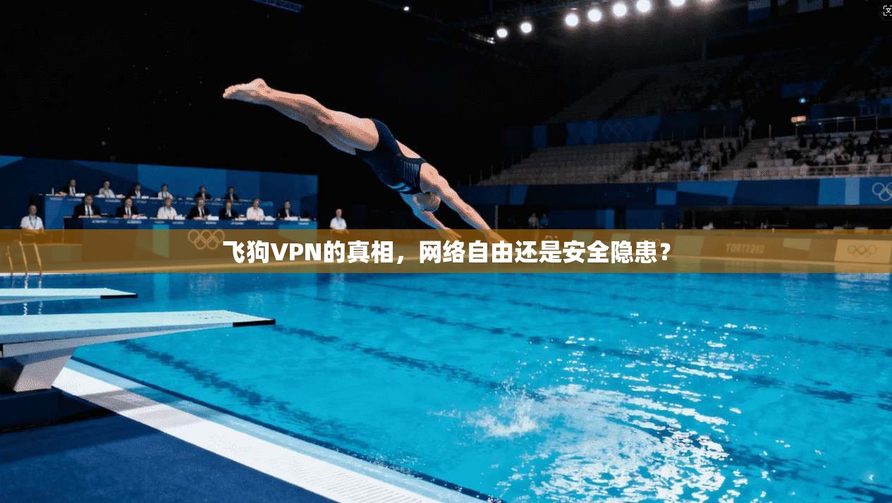 飞狗VPN的真相，网络自由还是安全隐患？