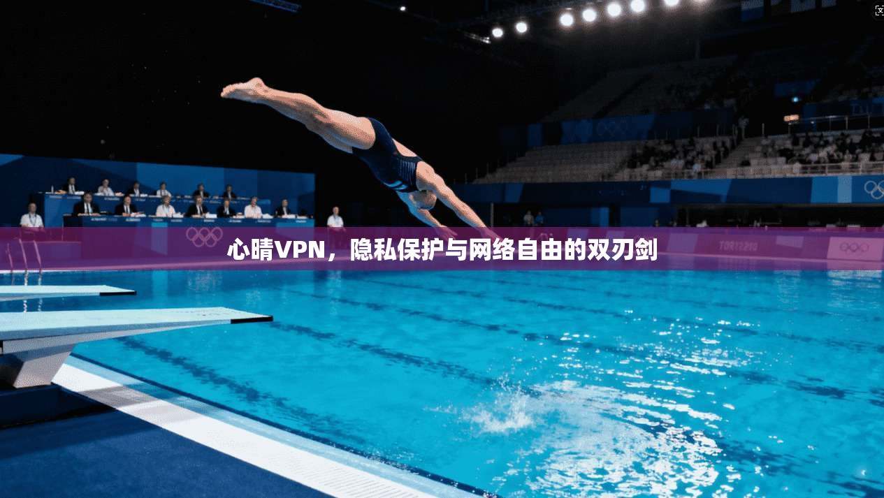 心晴VPN,隐私保护与网络自由的双刃剑