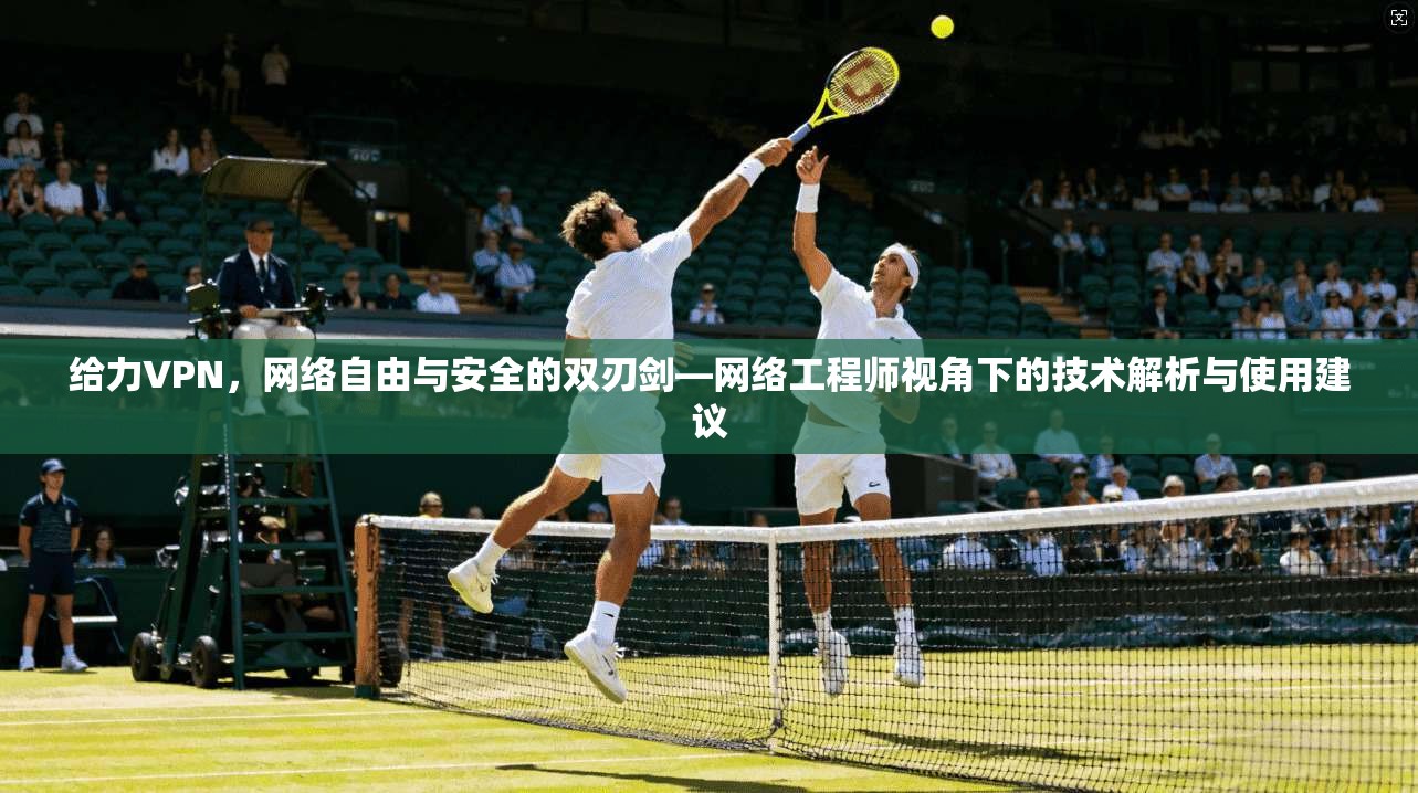 给力VPN,网络自由与安全的双刃剑—网络工程师视角下的技术解析与使用建议