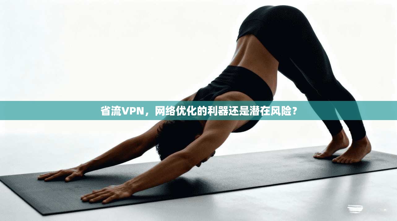 省流VPN，网络优化的利器还是潜在风险？