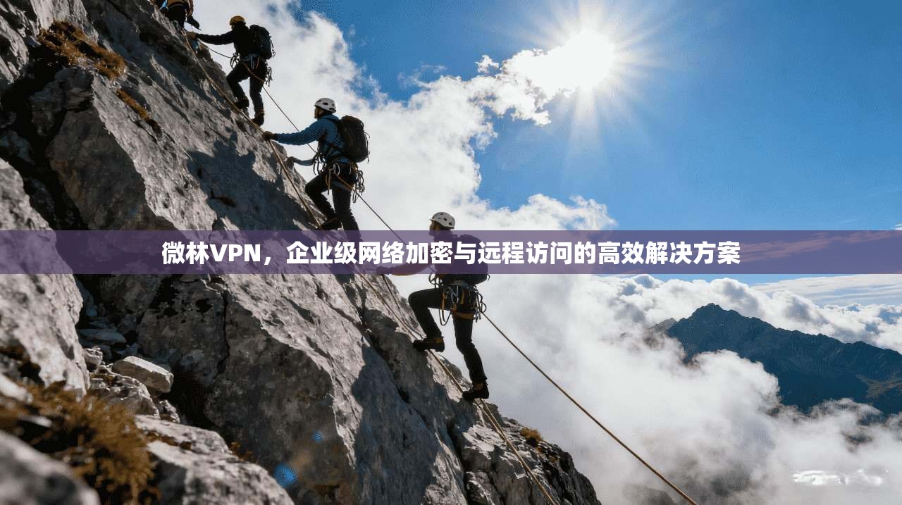 微林VPN，企业级网络加密与远程访问的高效解决方案