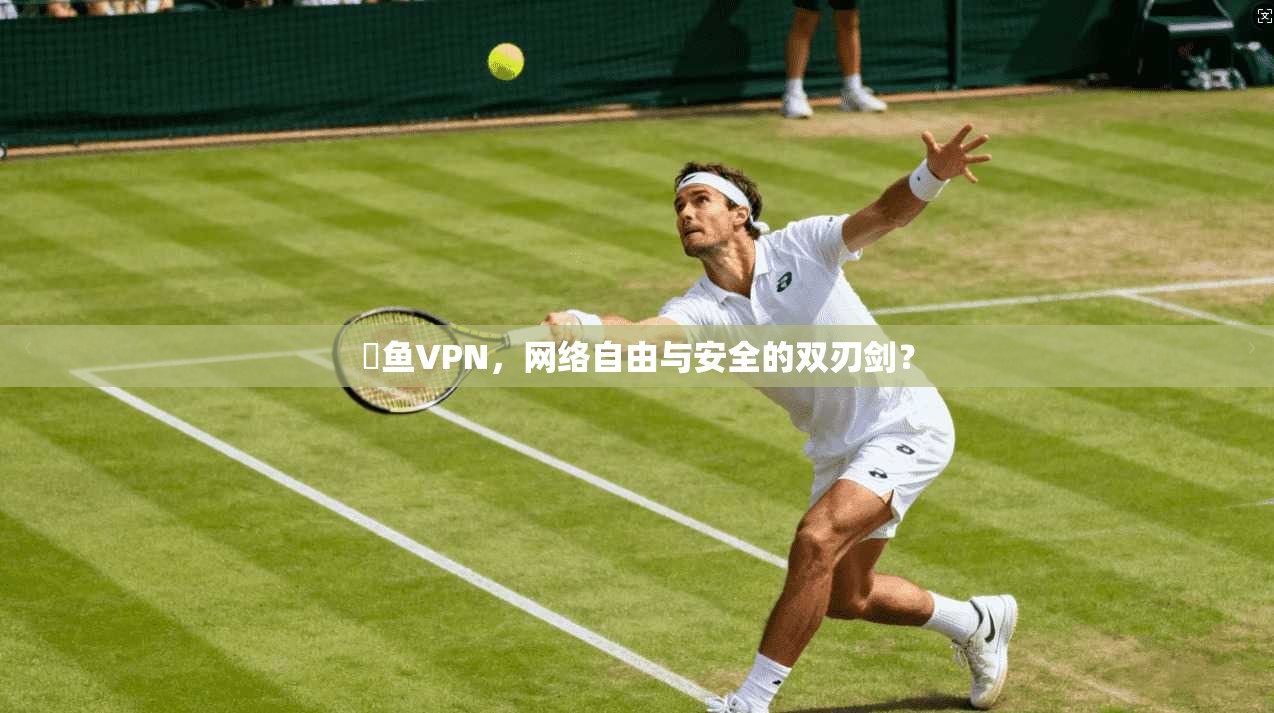 劍鱼VPN，网络自由与安全的双刃剑？