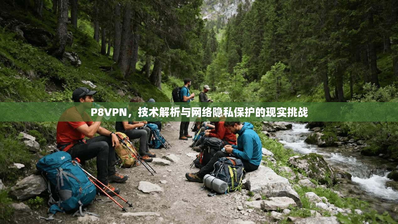 P8VPN，技术解析与网络隐私保护的现实挑战