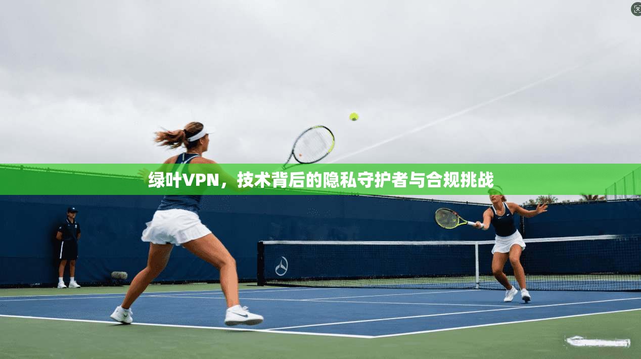 绿叶VPN，技术背后的隐私守护者与合规挑战