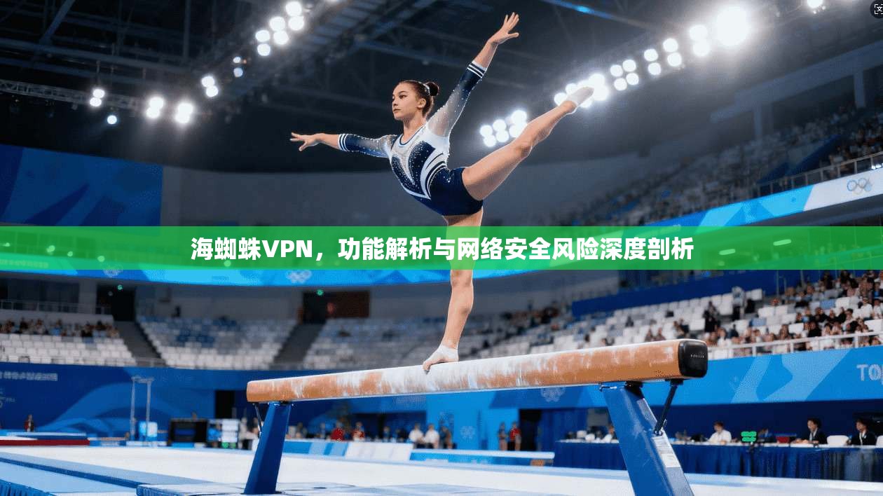 海蜘蛛VPN，功能解析与网络安全风险深度剖析