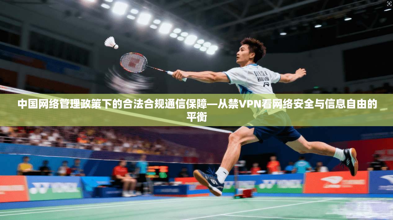 中国网络管理政策下的合法合规通信保障—从禁VPN看网络安全与信息自由的平衡 中国网络管理政策下的合法合规通信保障—从禁VPN看网络安全与信息自由的平衡