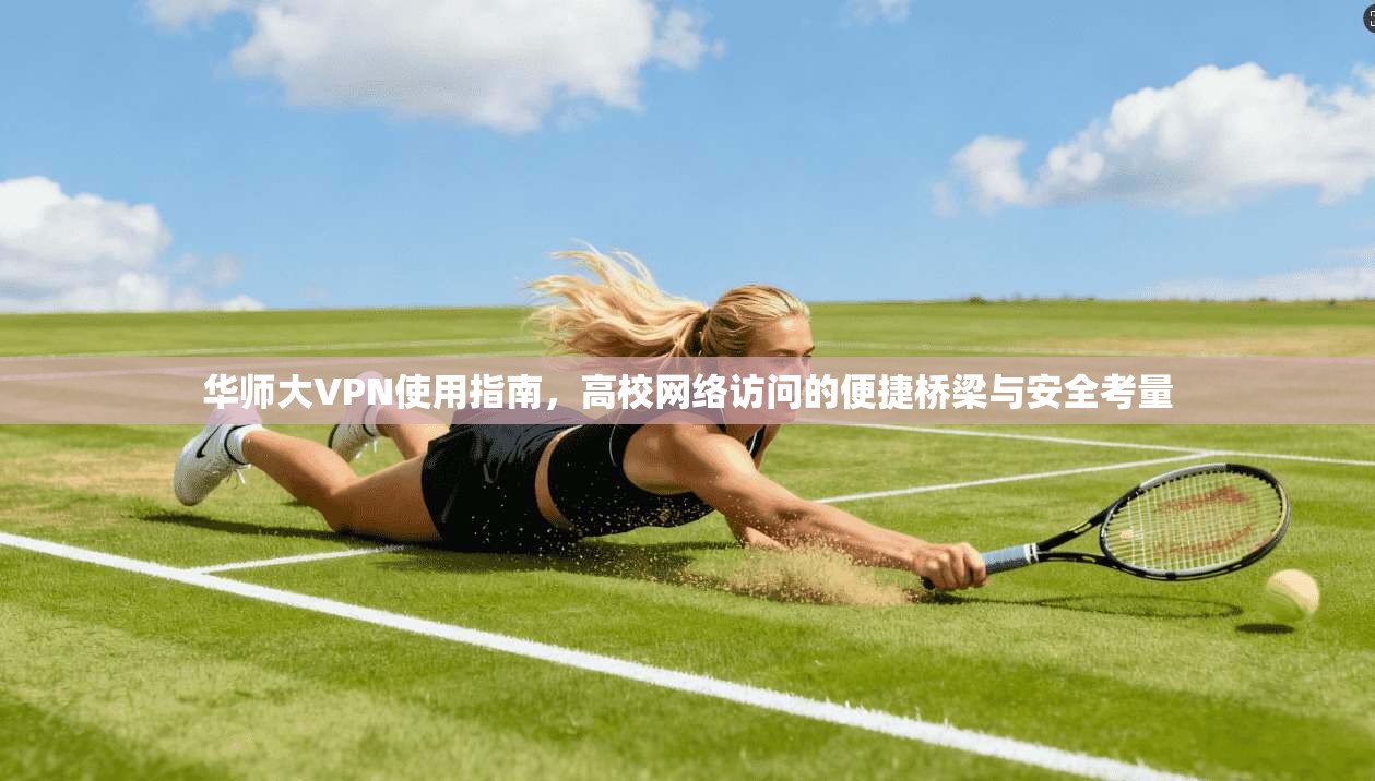 华师大VPN使用指南，高校网络访问的便捷桥梁与安全考量