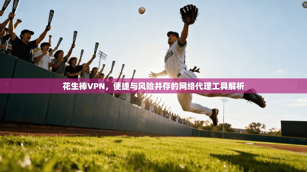 花生棒VPN，便捷与风险并存的网络代理工具解析