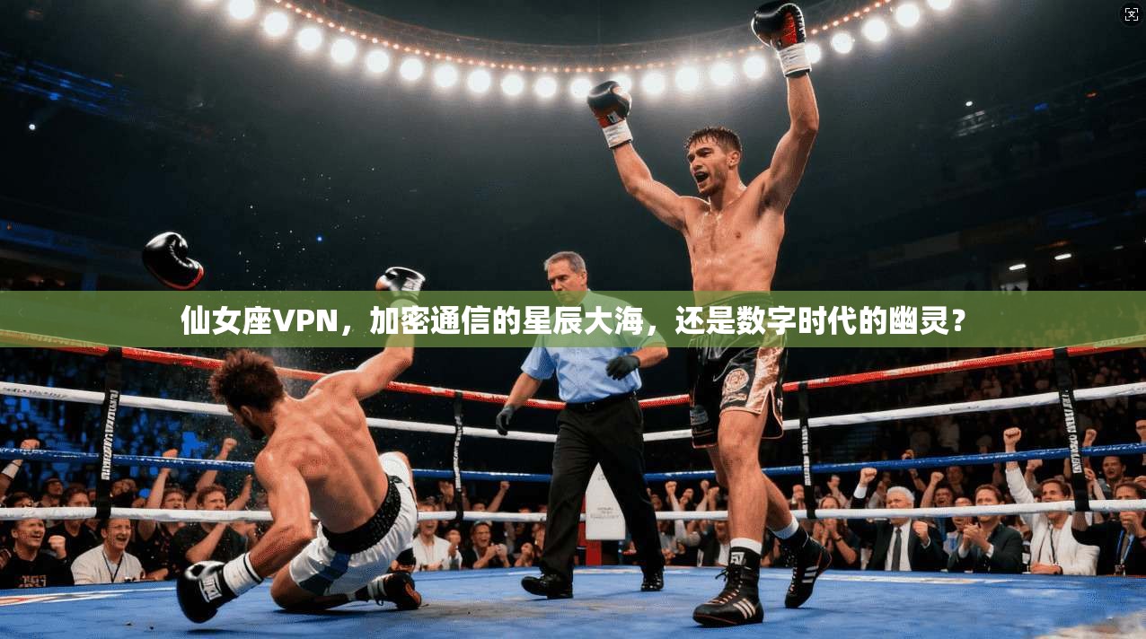 仙女座VPN，加密通信的星辰大海，还是数字时代的幽灵？