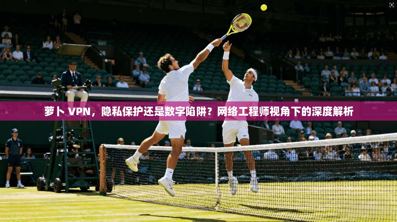 萝卜 VPN，隐私保护还是数字陷阱？网络工程师视角下的深度解析