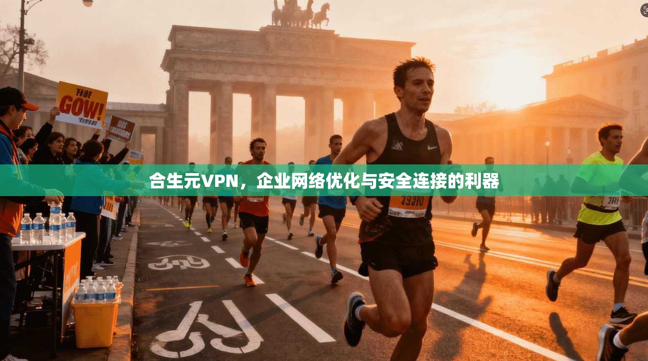 合生元VPN,企业网络优化与安全连接的利器 合生元VPN,企业网络优化与安全连接的利器