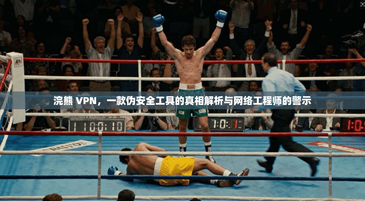 浣熊 VPN，一款伪安全工具的真相解析与网络工程师的警示