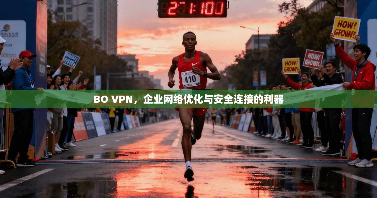 BO VPN，企业网络优化与安全连接的利器