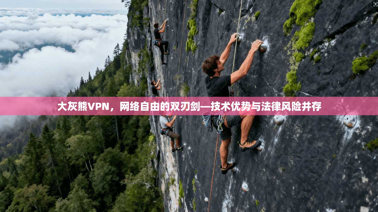 大灰熊VPN，网络自由的双刃剑—技术优势与法律风险并存