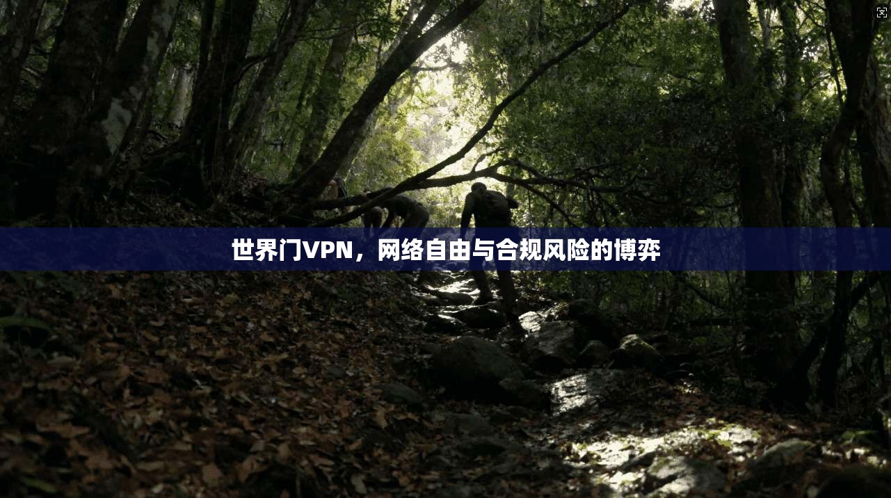 世界门VPN，网络自由与合规风险的博弈
