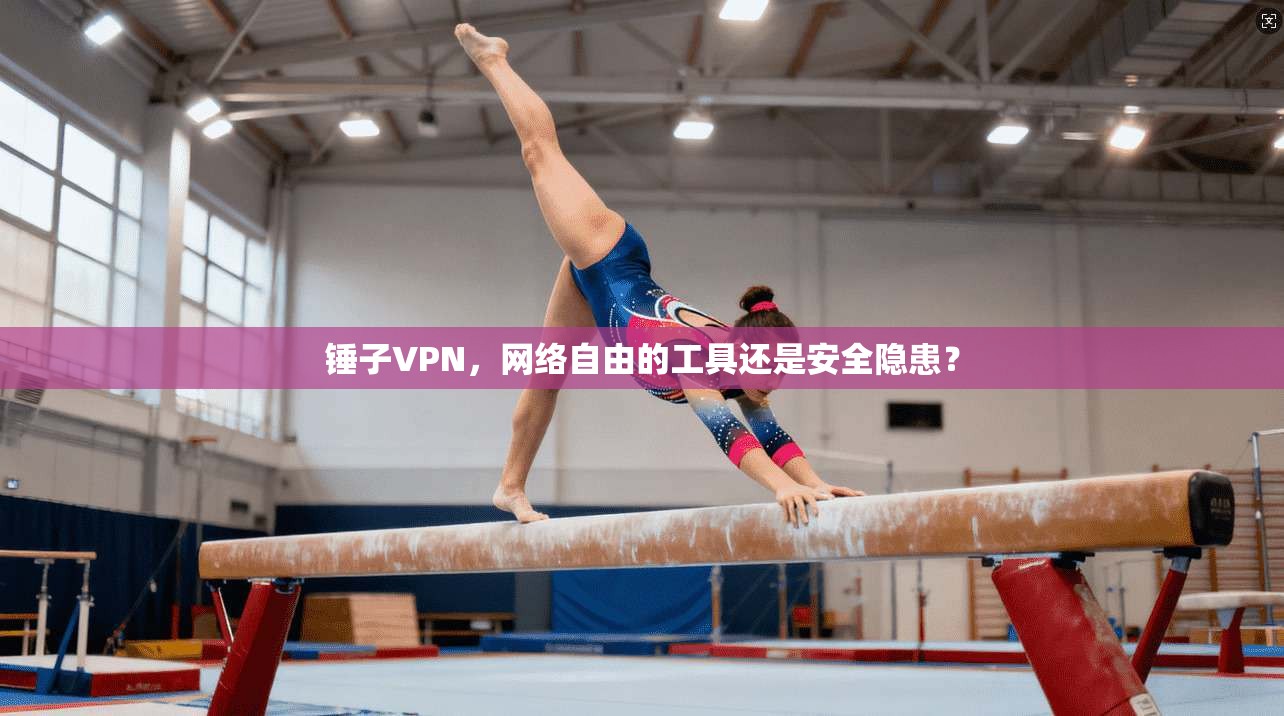 锤子VPN，网络自由的工具还是安全隐患？