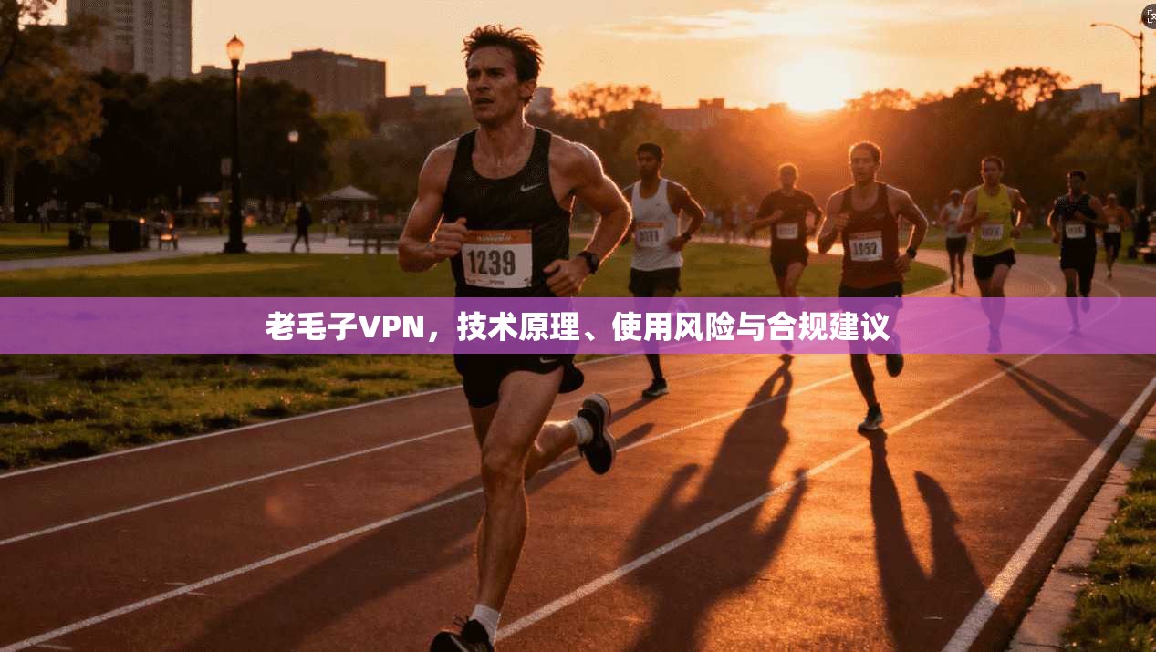 老毛子VPN，技术原理、使用风险与合规建议