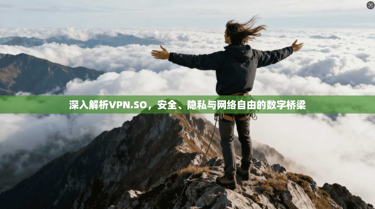 深入解析VPN.SO，安全、隐私与网络自由的数字桥梁