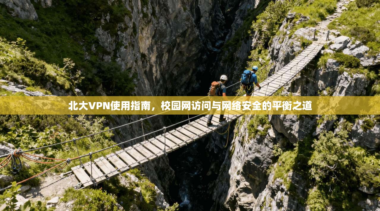 北大VPN使用指南，校园网访问与网络安全的平衡之道