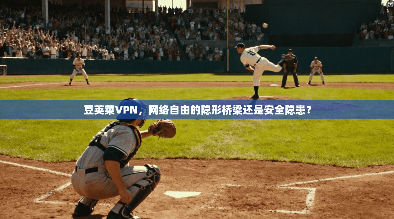 豆荚菜VPN，网络自由的隐形桥梁还是安全隐患？