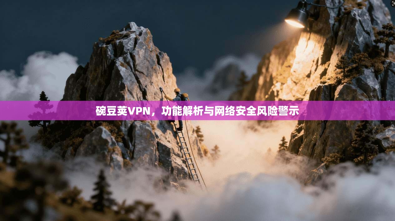 碗豆荚VPN，功能解析与网络安全风险警示