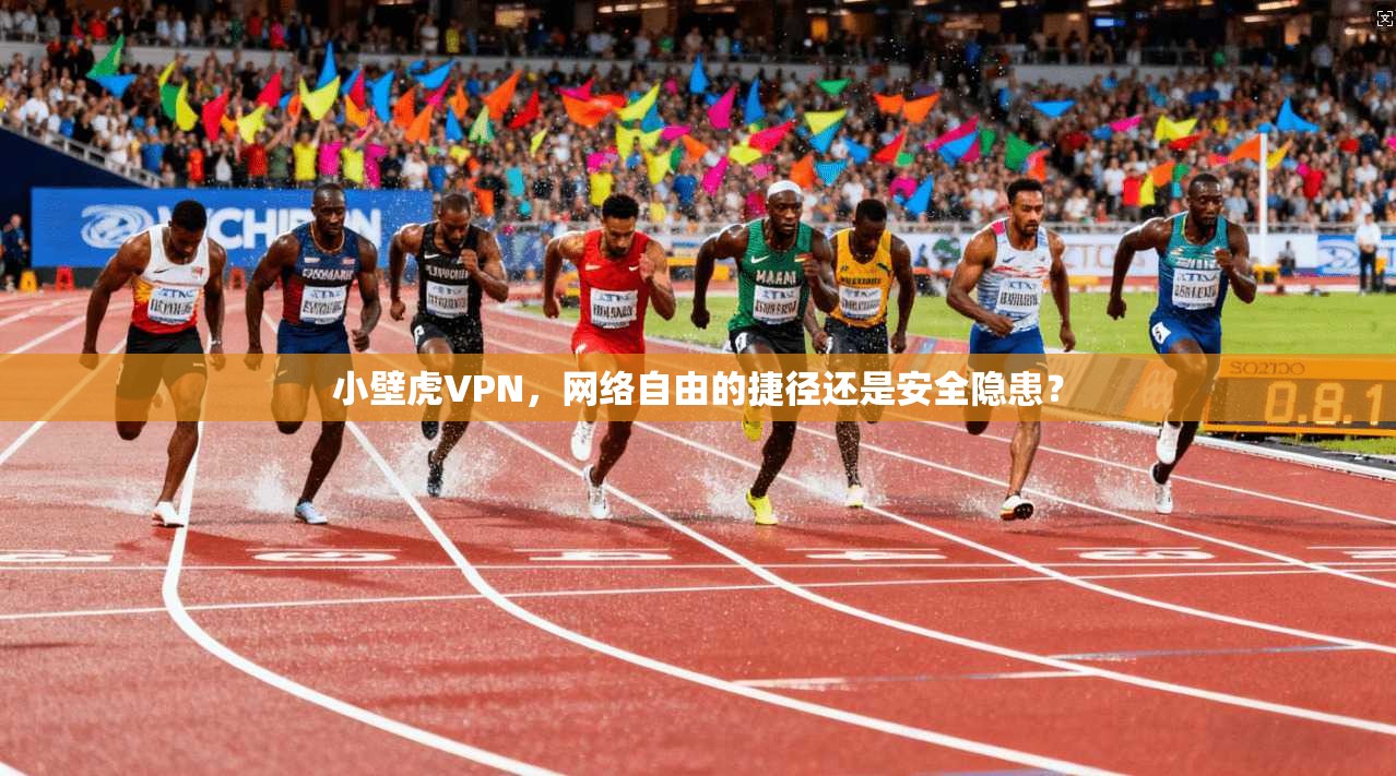 小壁虎VPN，网络自由的捷径还是安全隐患？