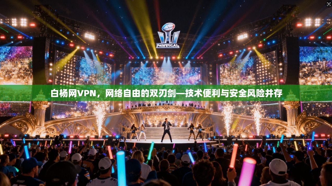 白杨网VPN，网络自由的双刃剑—技术便利与安全风险并存