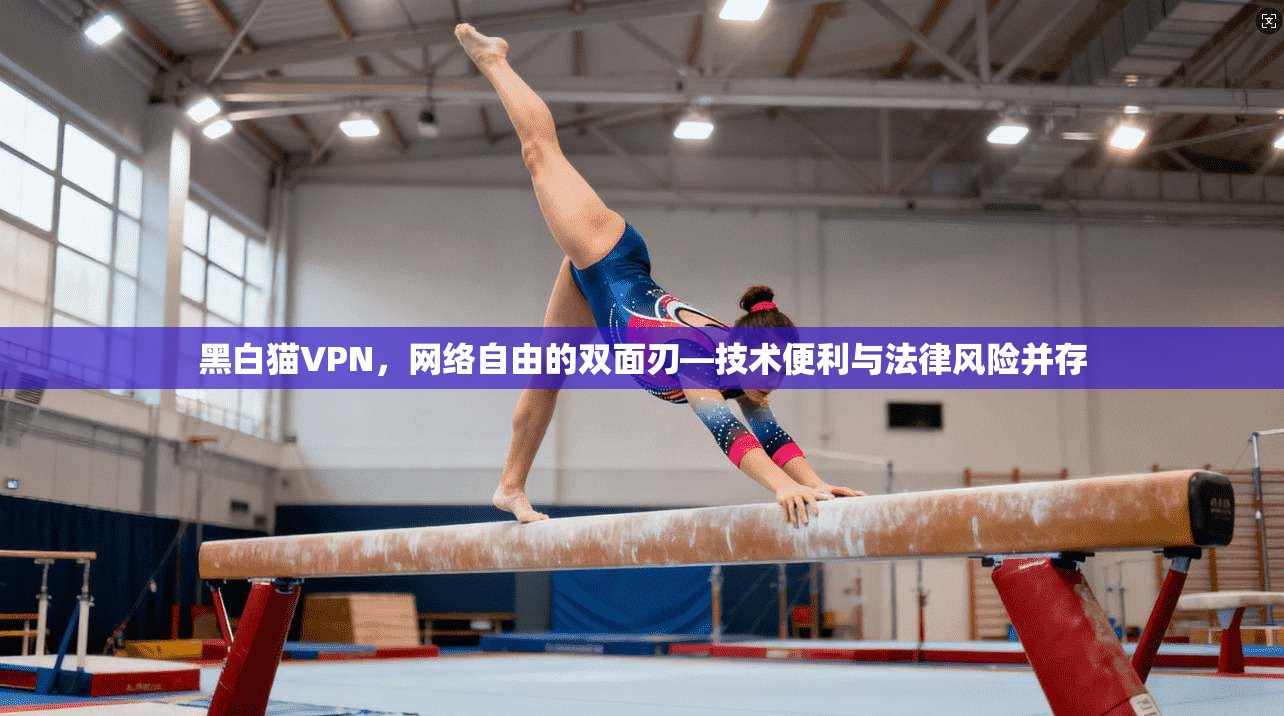 黑白猫VPN,网络自由的双面刃—技术便利与法律风险并存