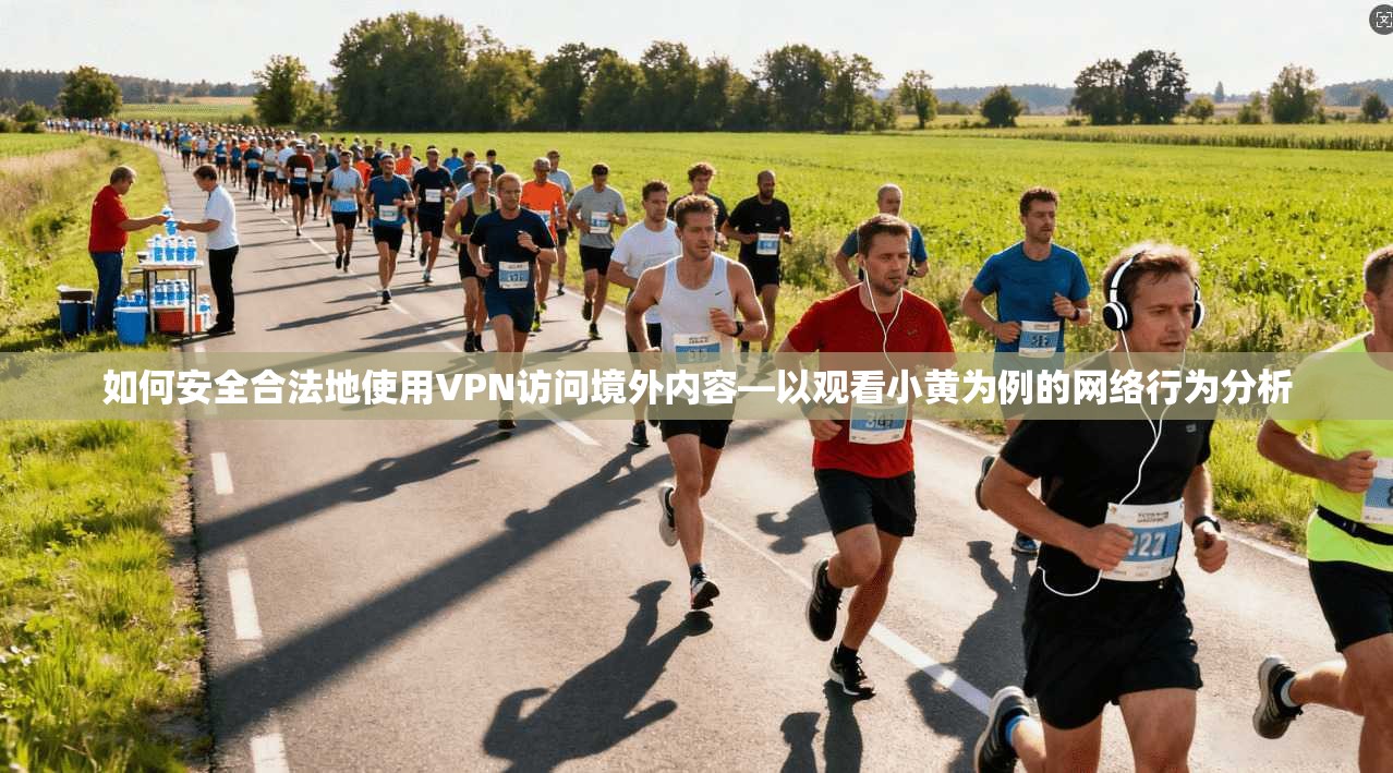 如何安全合法地使用VPN访问境外内容—以观看小黄为例的网络行为分析