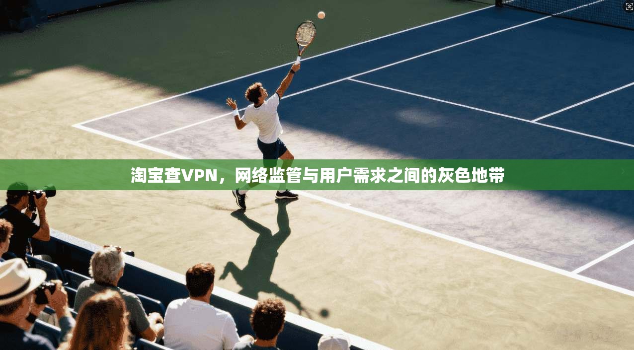 淘宝查VPN，网络监管与用户需求之间的灰色地带