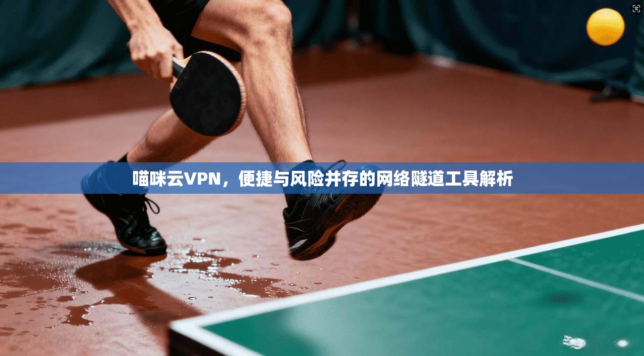 喵咪云VPN,便捷与风险并存的网络隧道工具解析