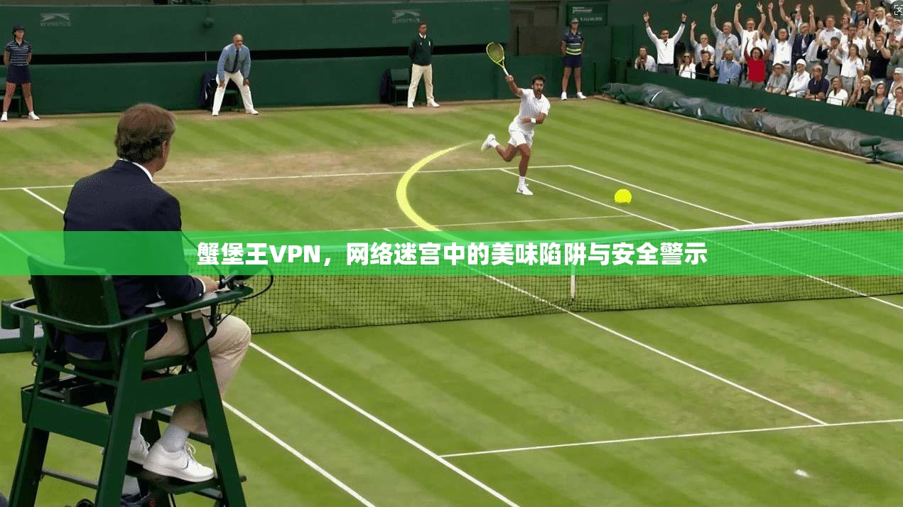 蟹堡王VPN,网络迷宫中的美味陷阱与安全警示 蟹堡王VPN,网络迷宫中的美味陷阱与安全警示