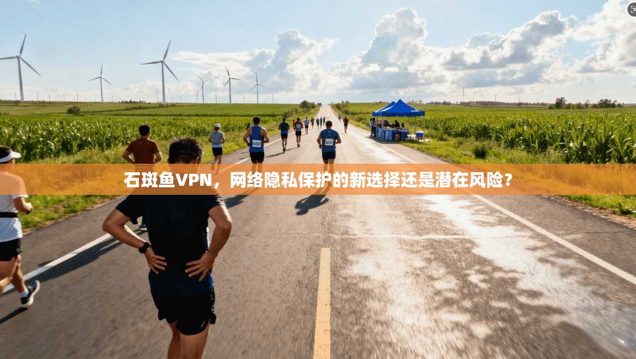 石斑鱼VPN,网络隐私保护的新选择还是潜在风险? 石斑鱼VPN,网络隐私保护的新选择还是潜在风险?