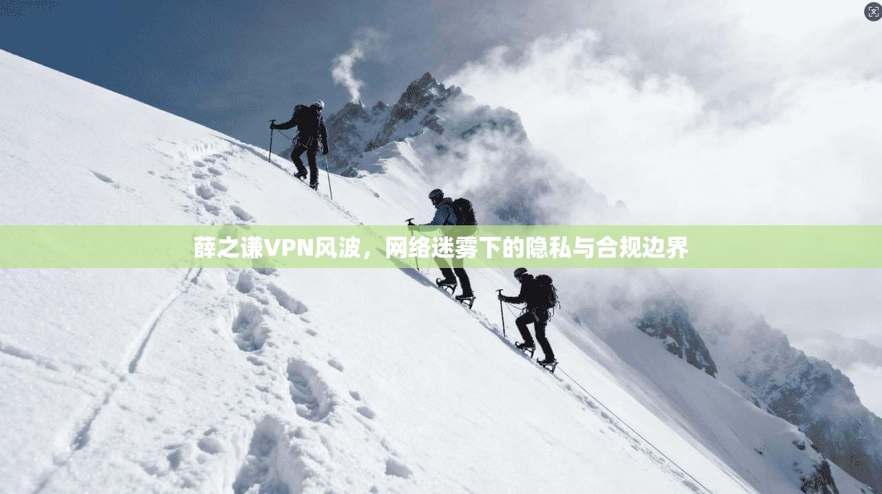 薛之谦VPN风波，网络迷雾下的隐私与合规边界