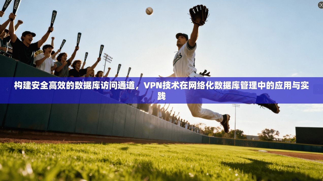构建安全高效的数据库访问通道，VPN技术在网络化数据库管理中的应用与实践