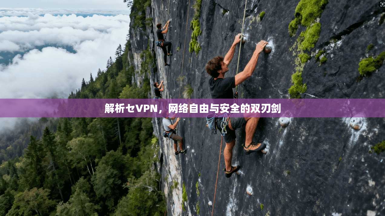 解析セVPN，网络自由与安全的双刃剑