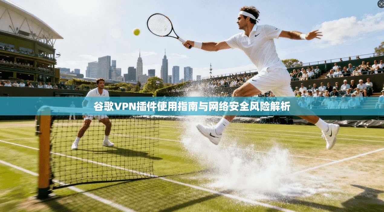 谷歌VPN插件使用指南与网络安全风险解析