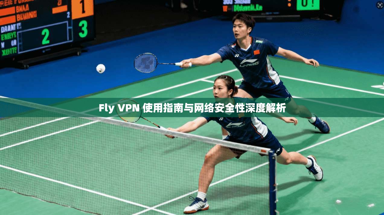 Fly VPN 使用指南与网络安全性深度解析