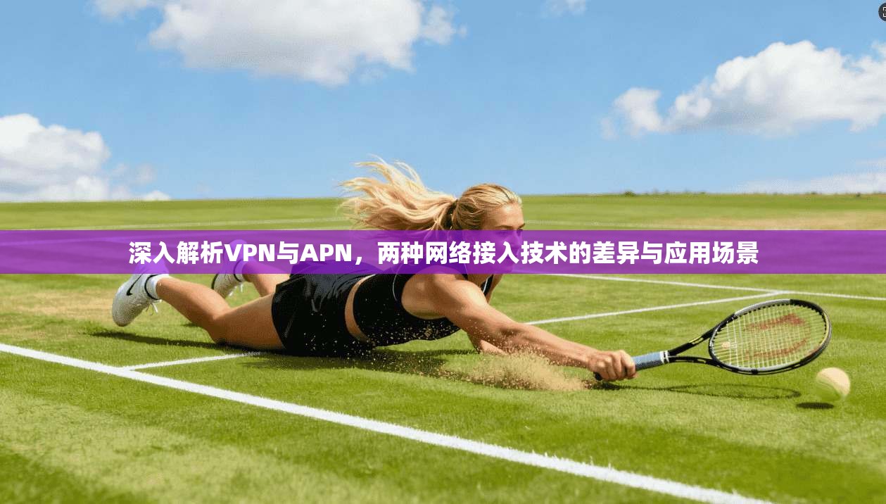 深入解析VPN与APN，两种网络接入技术的差异与应用场景