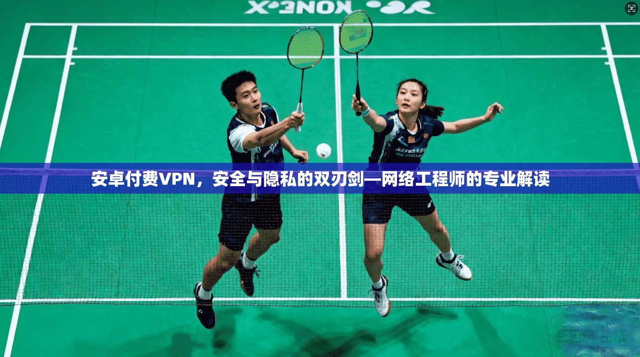 安卓付费VPN，安全与隐私的双刃剑—网络工程师的专业解读