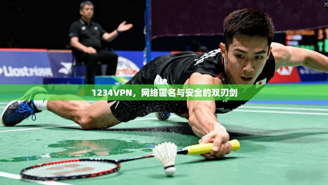1234VPN,网络匿名与安全的双刃剑