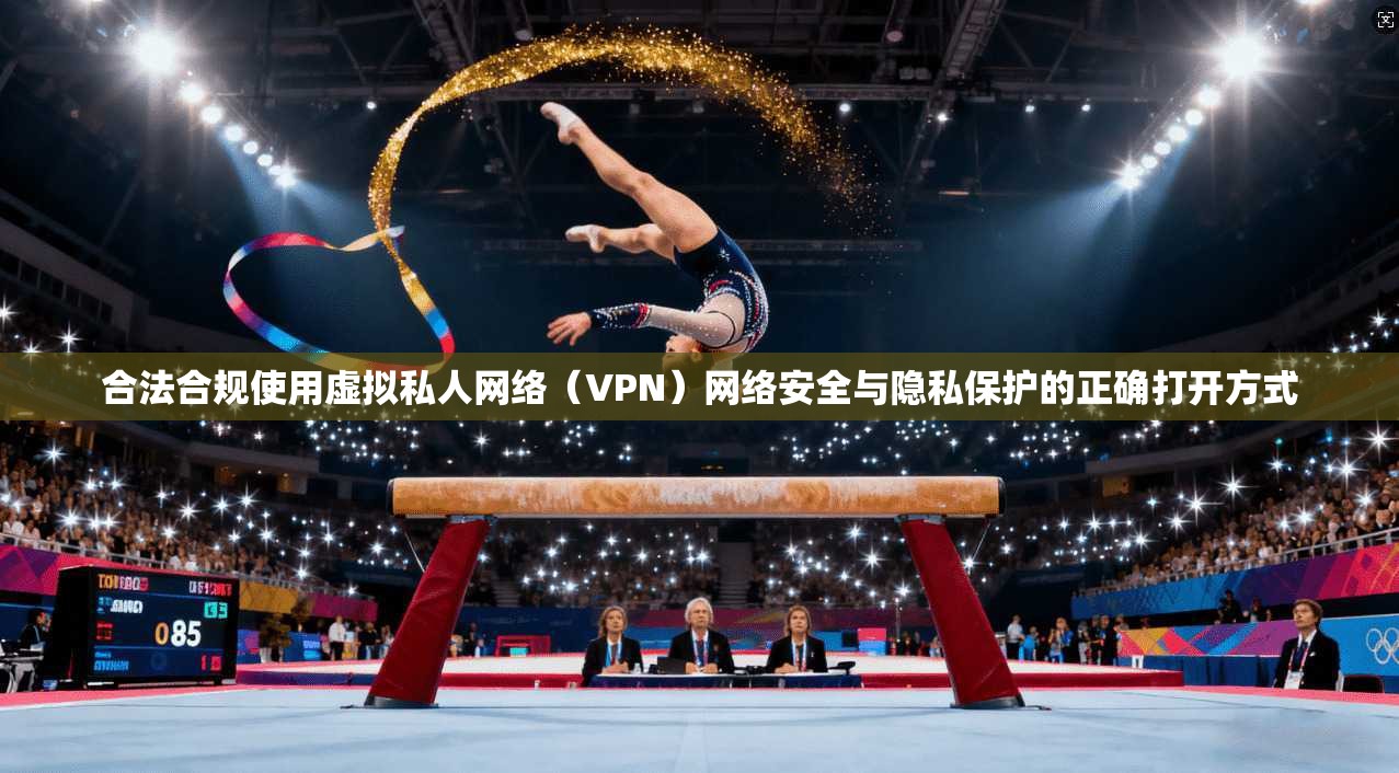 合法合规使用虚拟私人网络（VPN）网络安全与隐私保护的正确打开方式