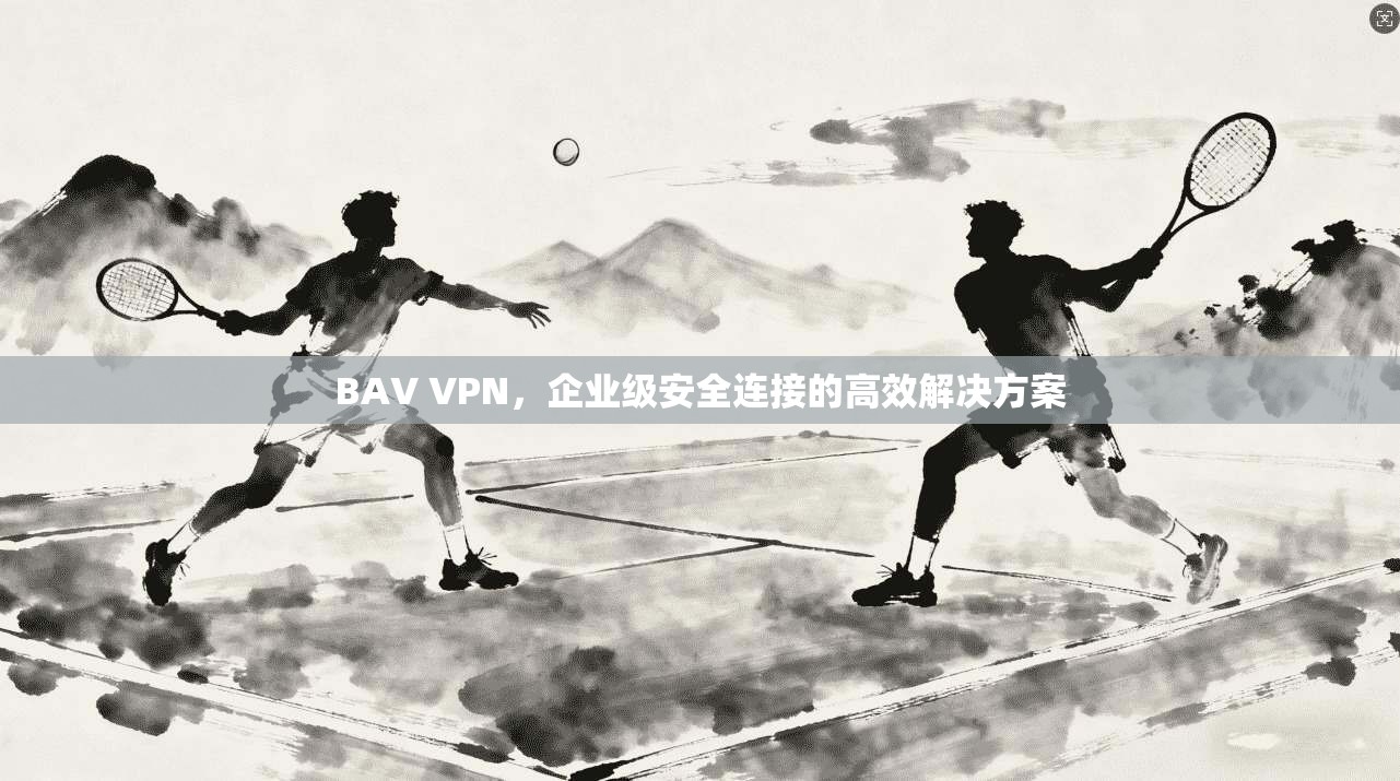 BAV VPN，企业级安全连接的高效解决方案