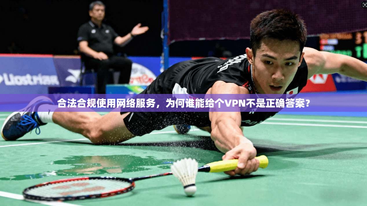 合法合规使用网络服务，为何谁能给个VPN不是正确答案？