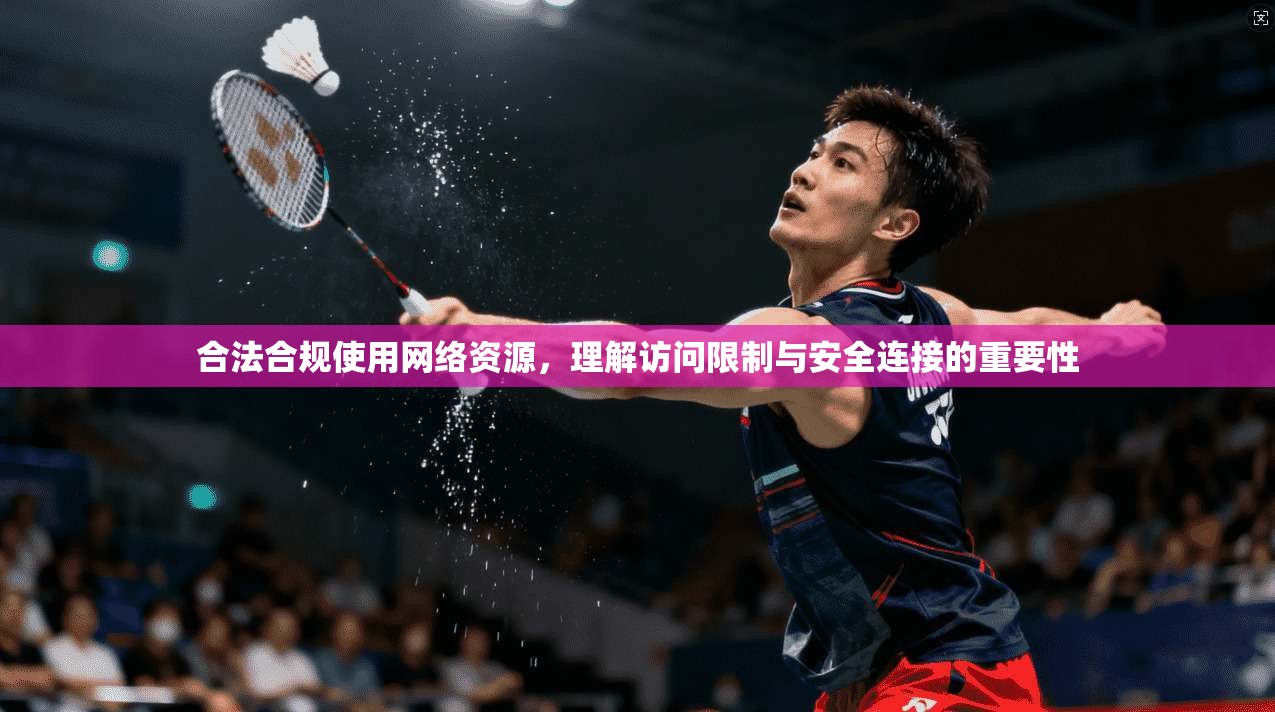 合法合规使用网络资源，理解访问限制与安全连接的重要性