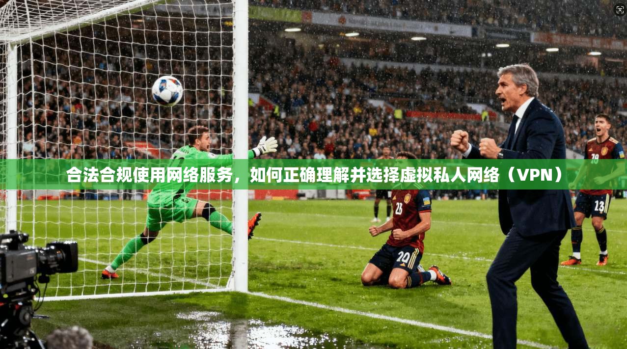 合法合规使用网络服务,如何正确理解并选择虚拟私人网络(VPN)