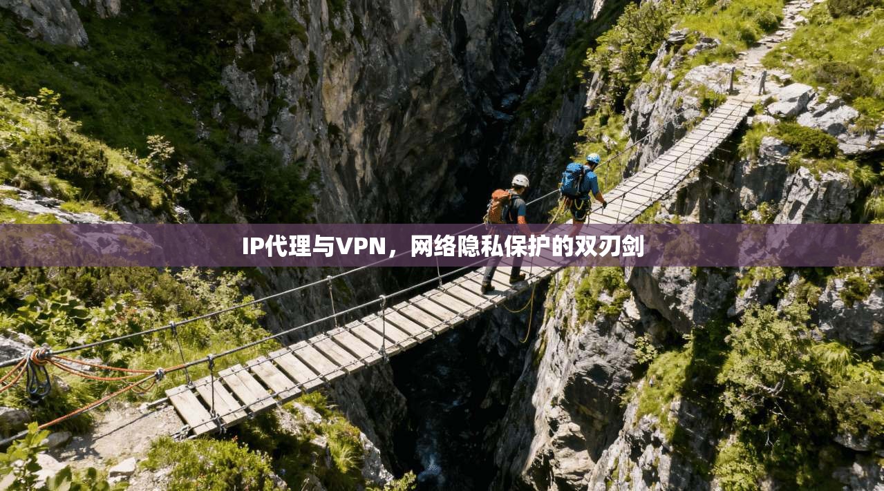 IP代理与VPN，网络隐私保护的双刃剑