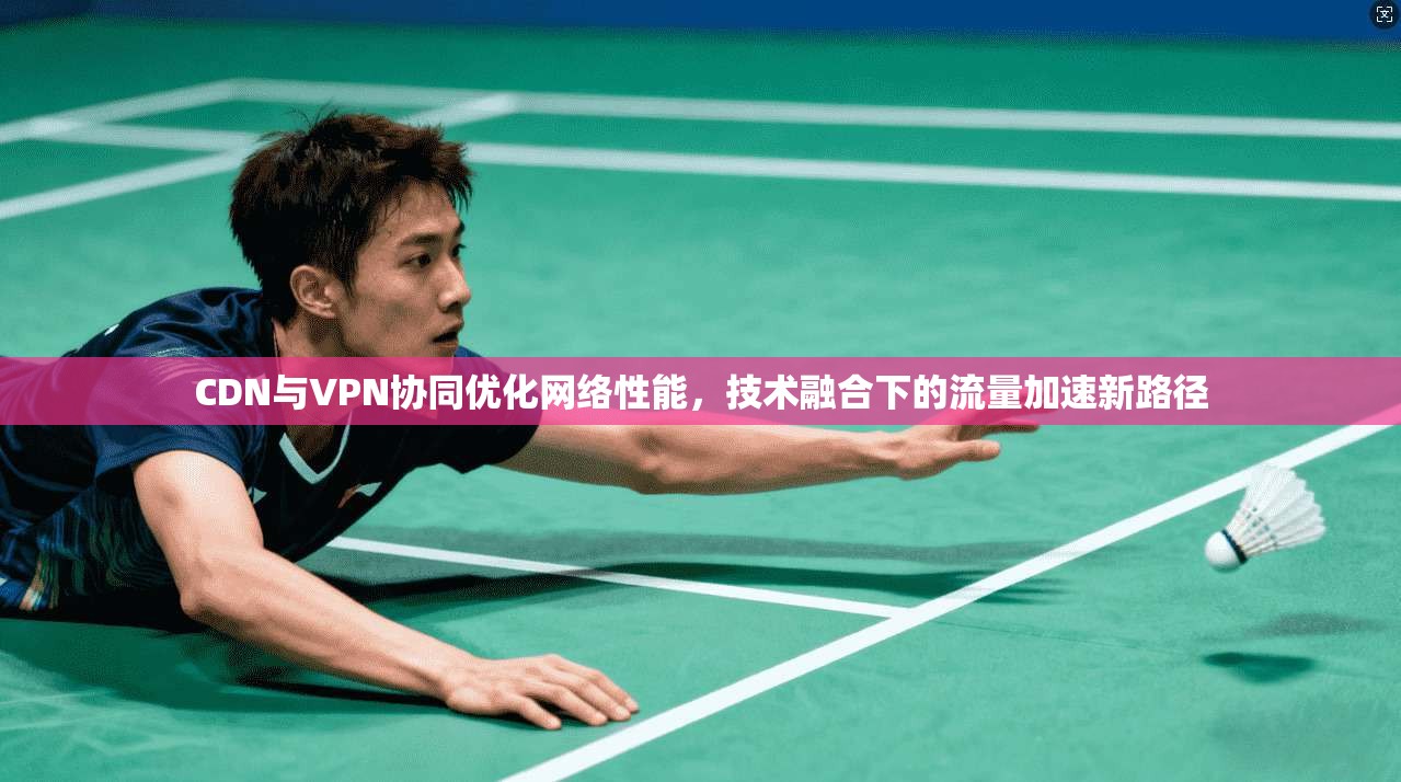 CDN与VPN协同优化网络性能，技术融合下的流量加速新路径