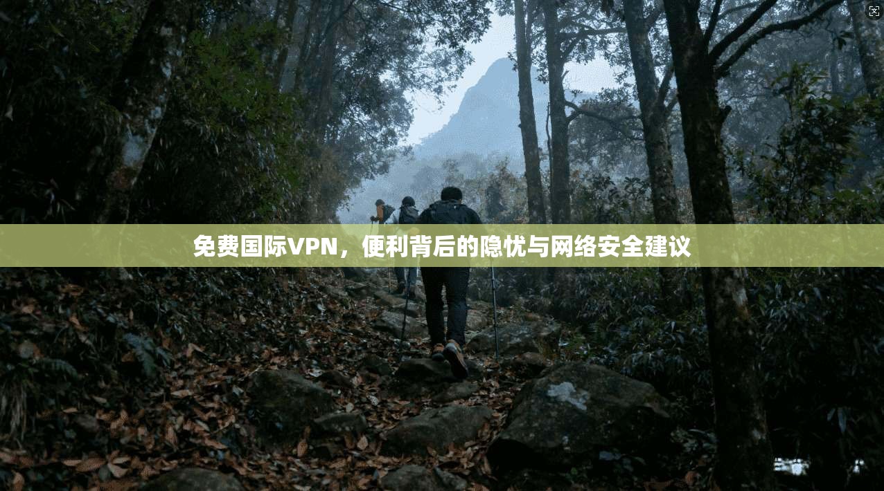 免费国际VPN，便利背后的隐忧与网络安全建议