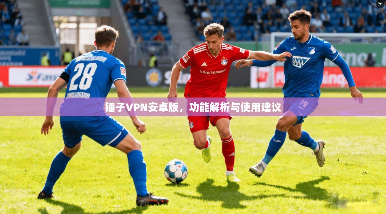 锤子VPN安卓版，功能解析与使用建议